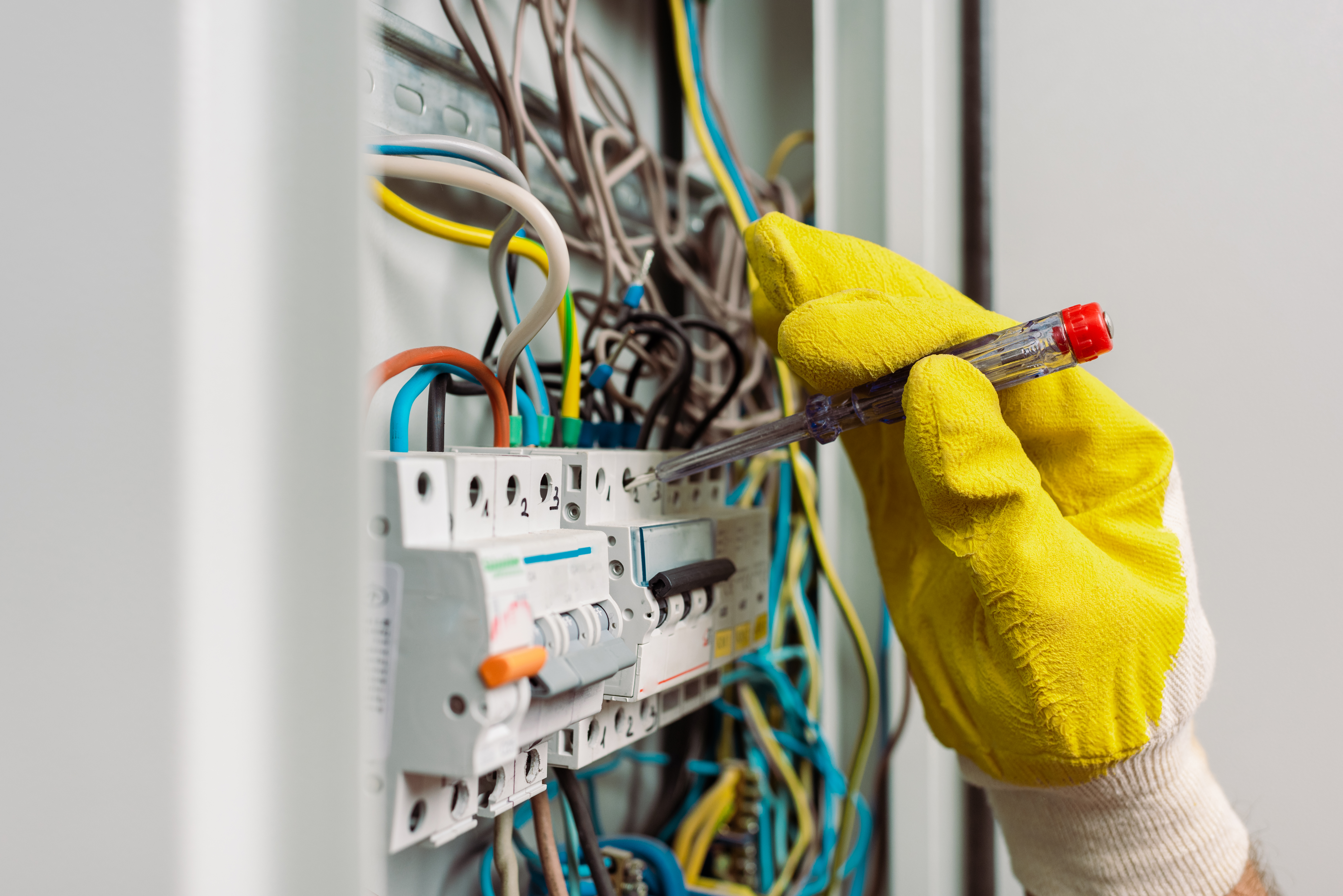 Our Services
